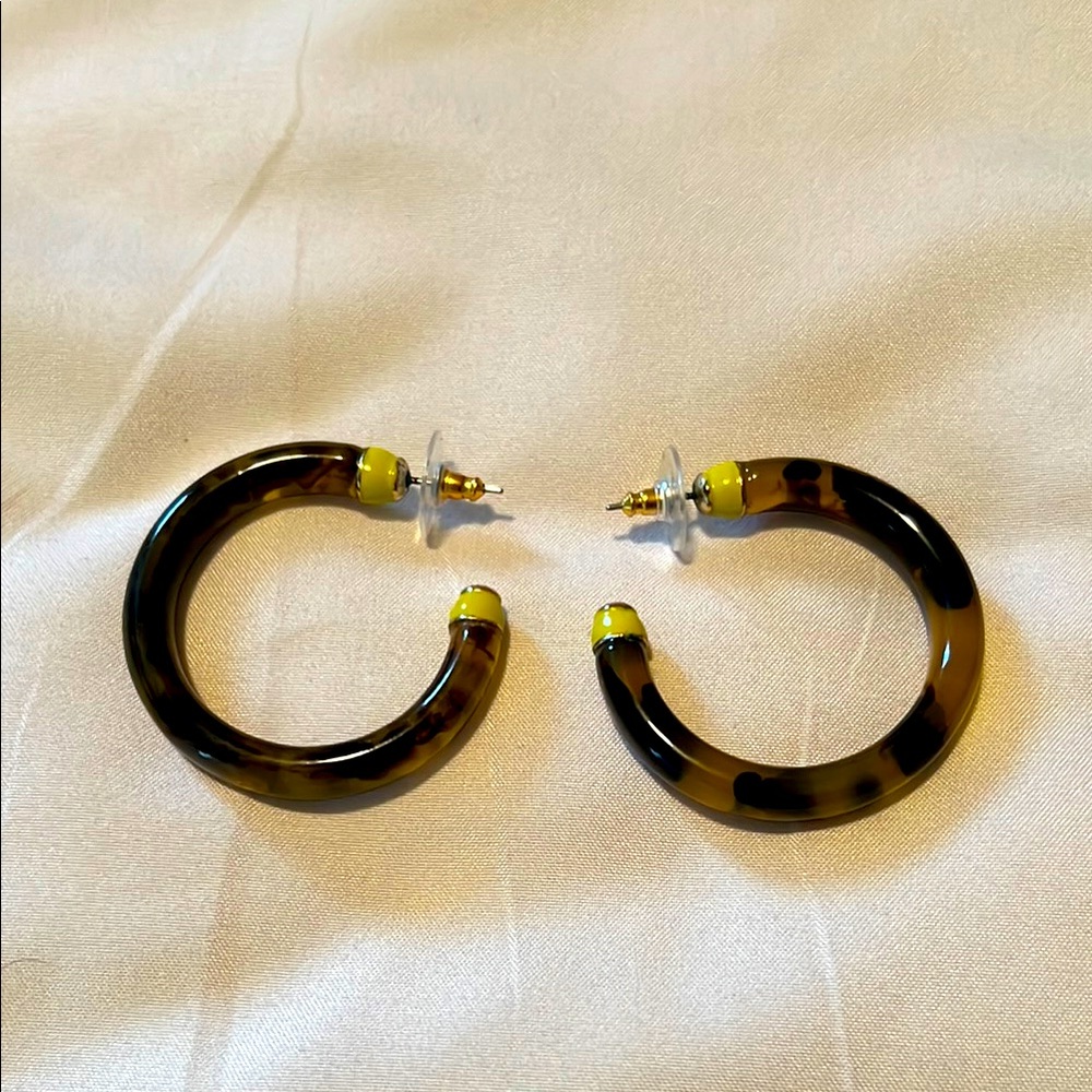 Express Tortoise Earrings
